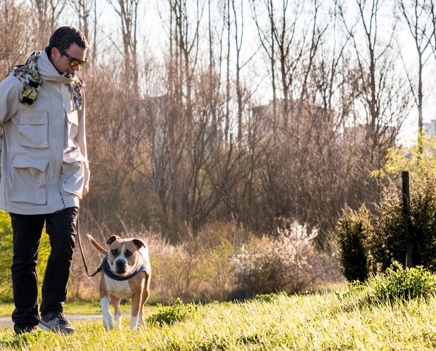 Gobak tienda de ropa y accesorios para perros online