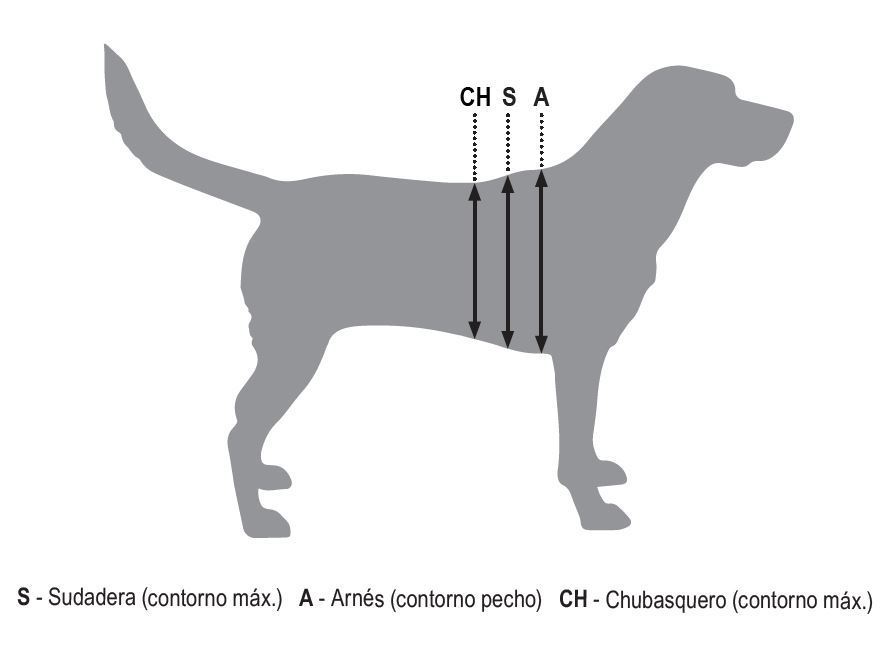 tallas de ropa para perros