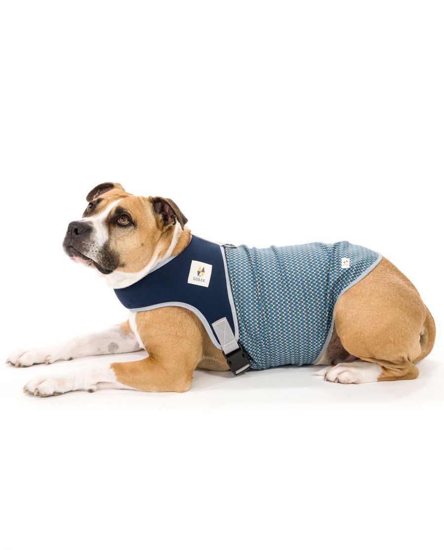 sudaderas para perros marca Gobak